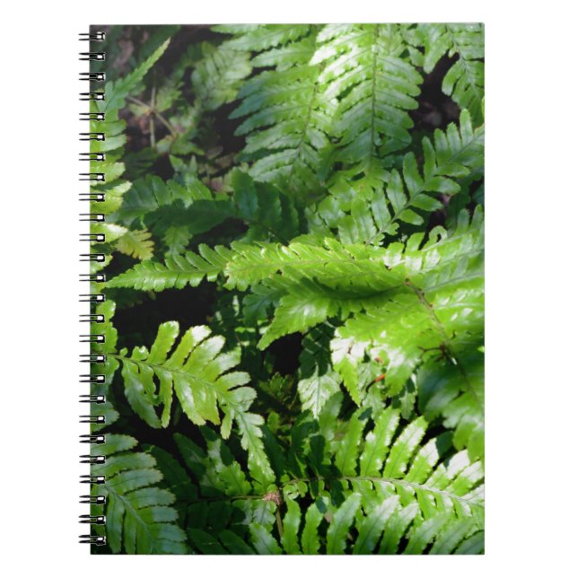 Spring Green Ferns Notebook (Front)