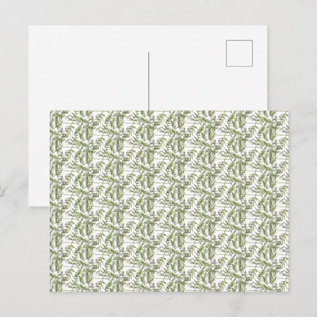 spring green  holiday postcard (Front/Back)