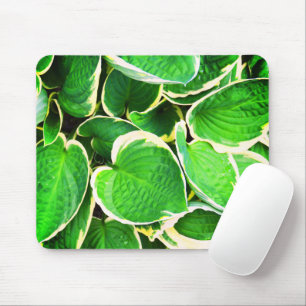 Spring green Hosta leaves Mouse Pad