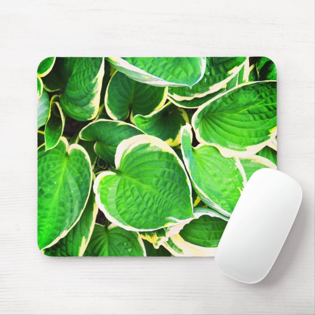 Spring green Hosta leaves Mouse Pad (With Mouse)