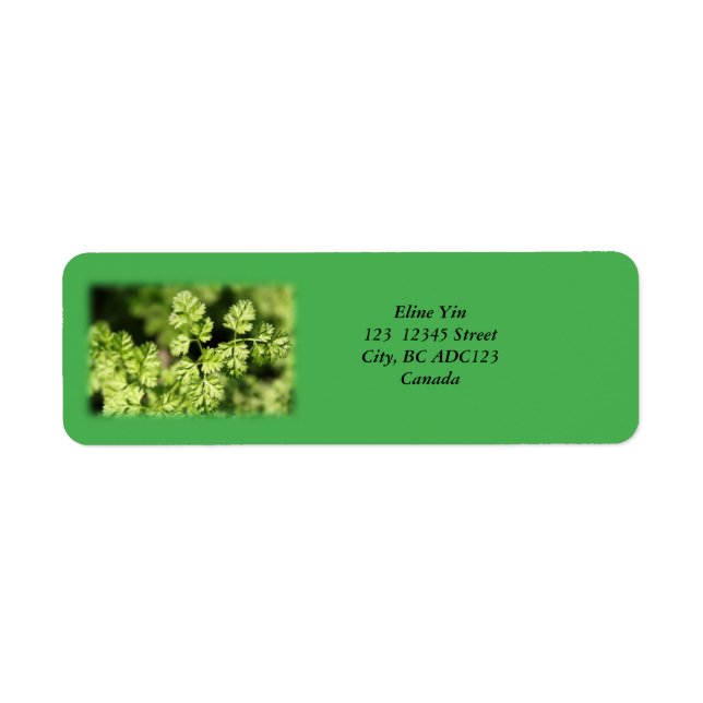 Spring green leaves, green labels (Front)