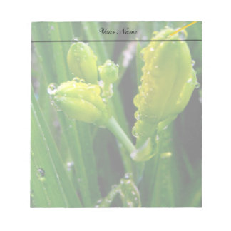 spring green lily buds notepad
