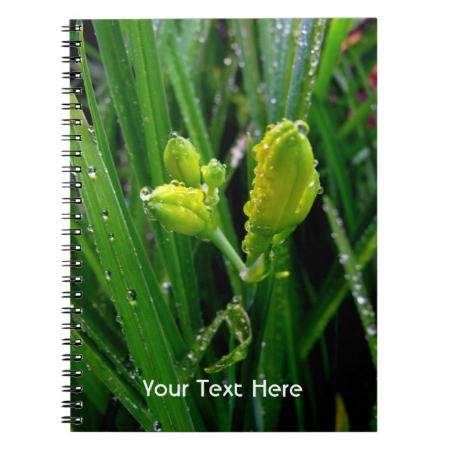 spring green lily buds spiral notebook (Front)