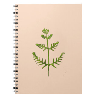 spring green notebook