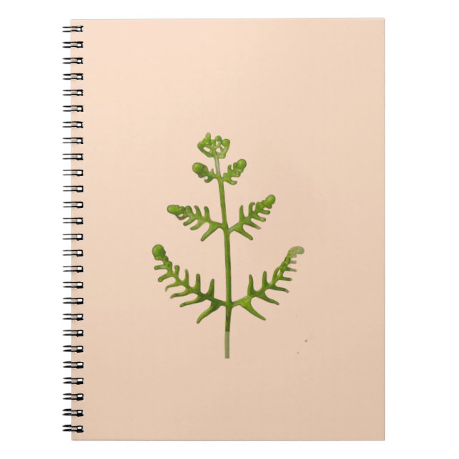 spring green  notebook (Front)