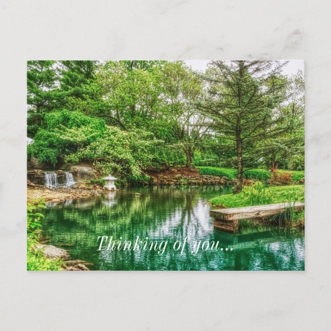 Spring Green Reflections Thinking Of You Postcard (Front)