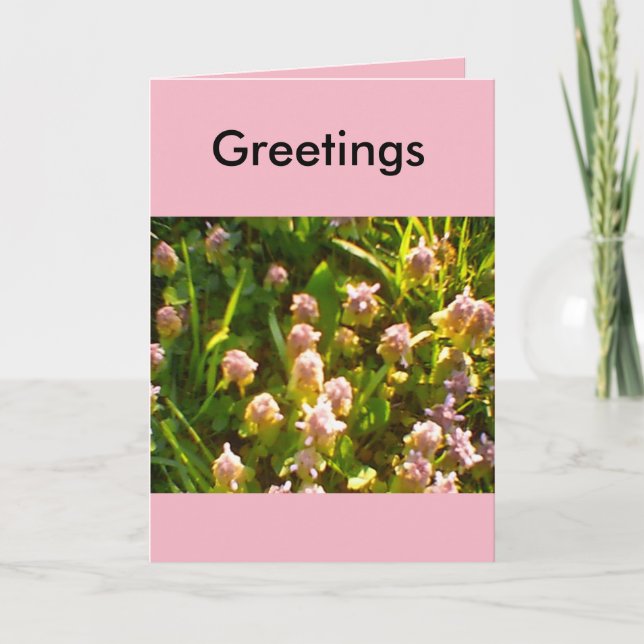 Spring Greetings Favourites Card (Front)