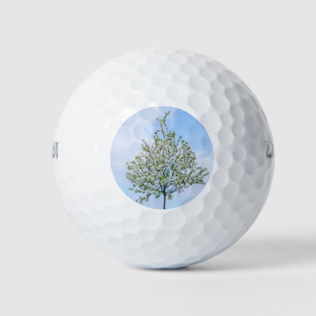 Spring - Happy Easter Golf Balls (Front)