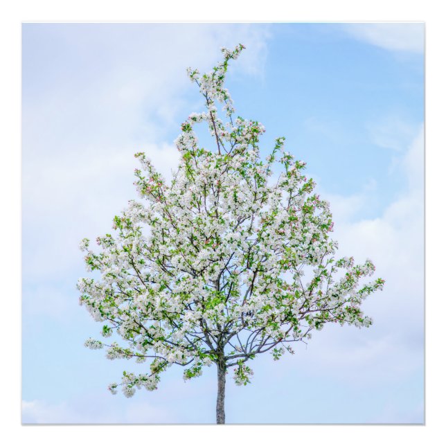 Spring - Happy Easter Photo Print (Front)