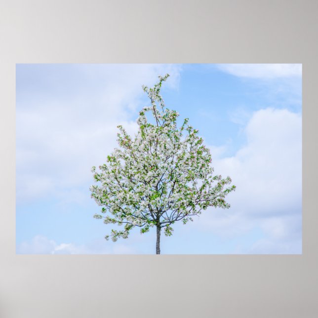 Spring - Happy Easter Poster (Front)