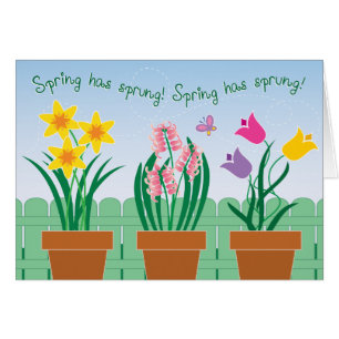 Spring has sprung!