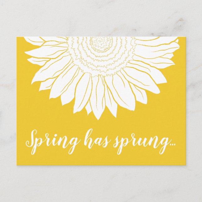 spring has sprung sunflower postcard (Front)