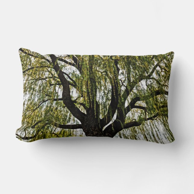 spring hopes muted lumbar cushion (Front)