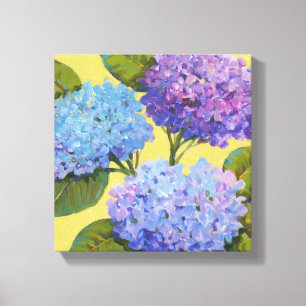 Spring Hydrangeas I Canvas Print