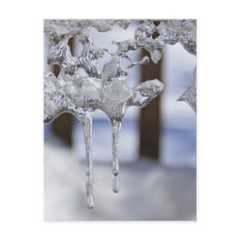 Spring Icicles