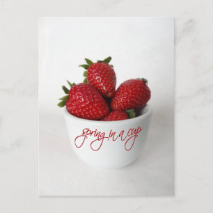spring in a cup postcard