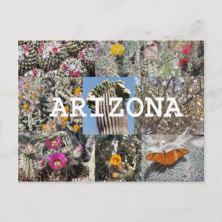 Spring in Arizona Postcard