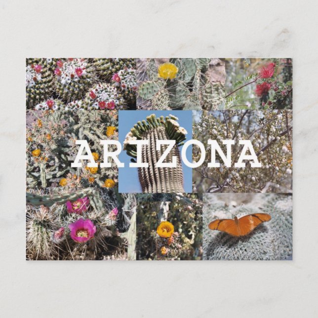Spring in Arizona Postcard (Front)