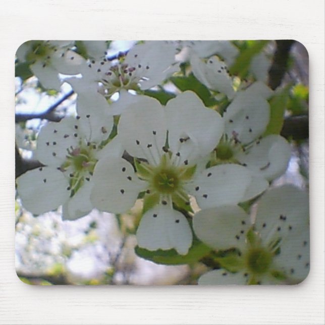 Spring in Bloom Mouse Pad (Front)