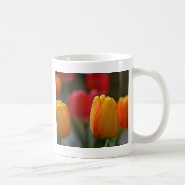 Spring in Colours Coffee Mug (Right)