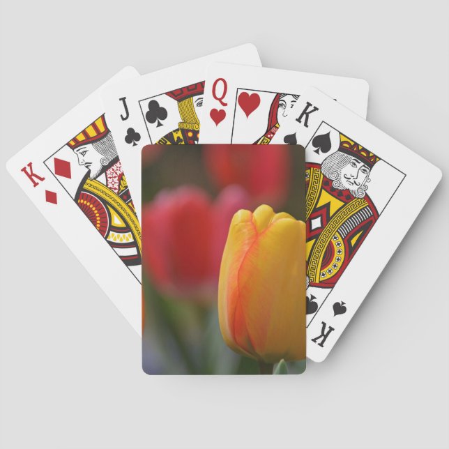 Spring in Colours Playing Cards (Back)