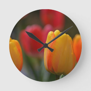 Spring in Colours Round Clock