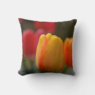 Spring in colours Throw Pillow