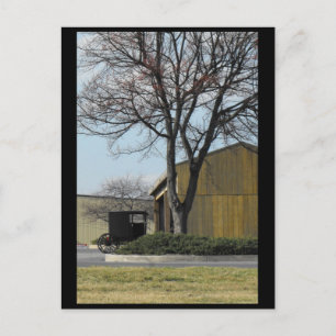 ~ Spring in Lancaster County ~ 96 Postcard