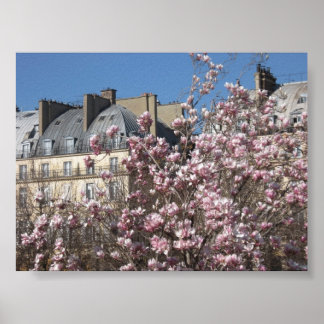 Spring in Paris Poster