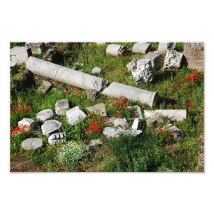 Spring in Rome Photo Print