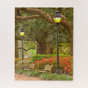 Spring in Savannah, GA, Forsyth Park, Photography Jigsaw Puzzle