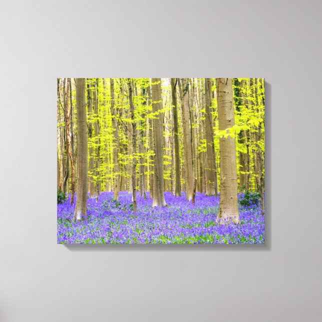 Spring in the Blue Forest Canvas Print (Front)