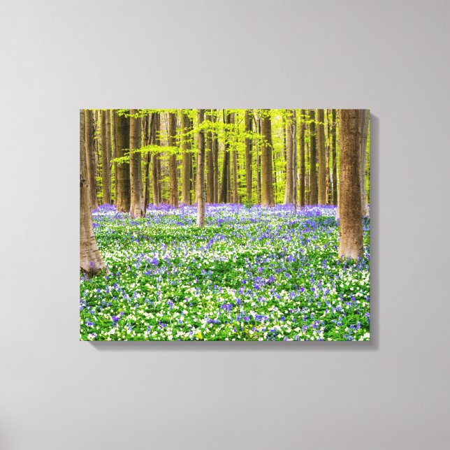 Spring in the Blue Forest Canvas Print (Front)