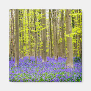 Spring in the Blue Forest Magnet