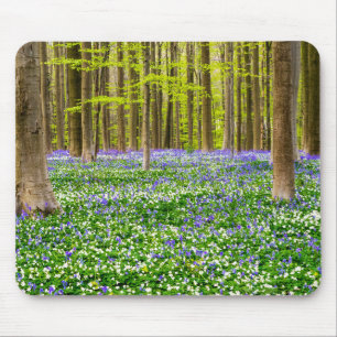 Spring in the Blue Forest Mouse Pad