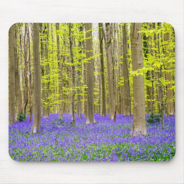 Spring in the Blue Forest Mouse Pad (Front)