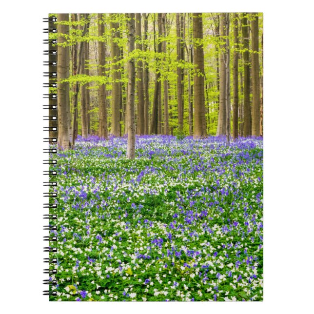 Spring in the Blue Forest Notebook (Front)