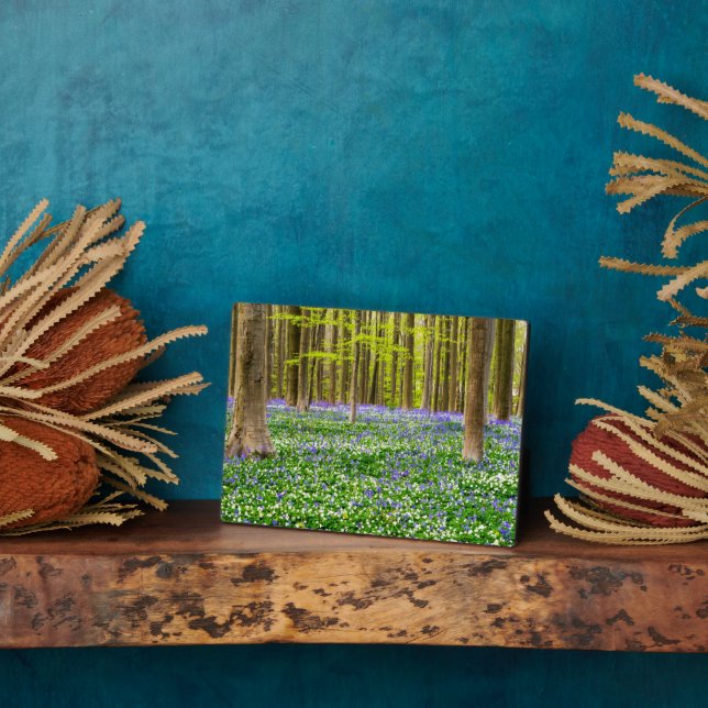 Spring in the Blue Forest Plaque (Side)