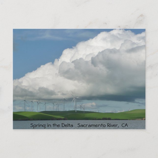 Spring in the Delta Postcard (Front)