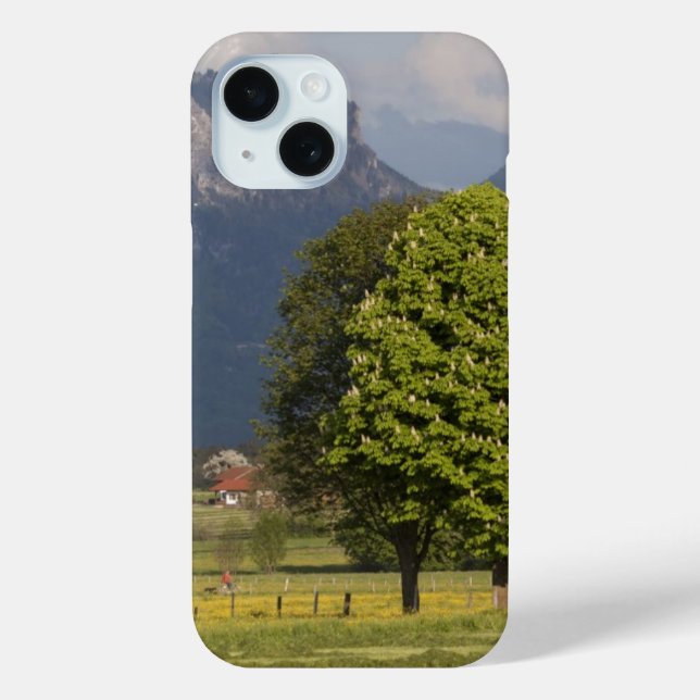 Spring in the Mountains Case-Mate iPhone Case (Back)