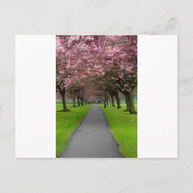 Spring in the Park Postcard (Front)
