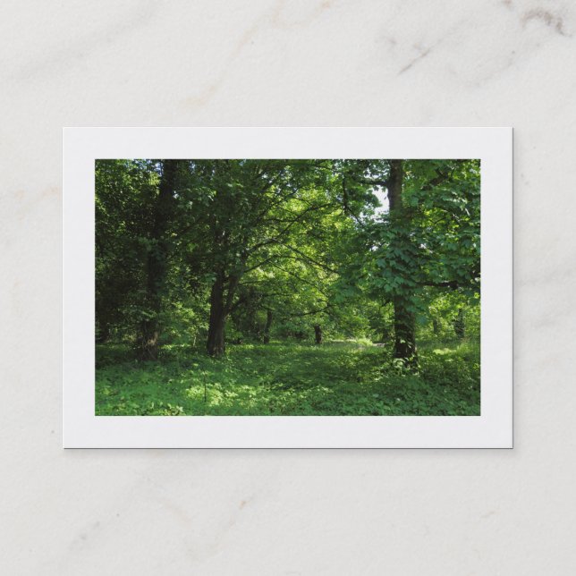 Spring in the Woods 01 (Bordered) Business Card (Front)