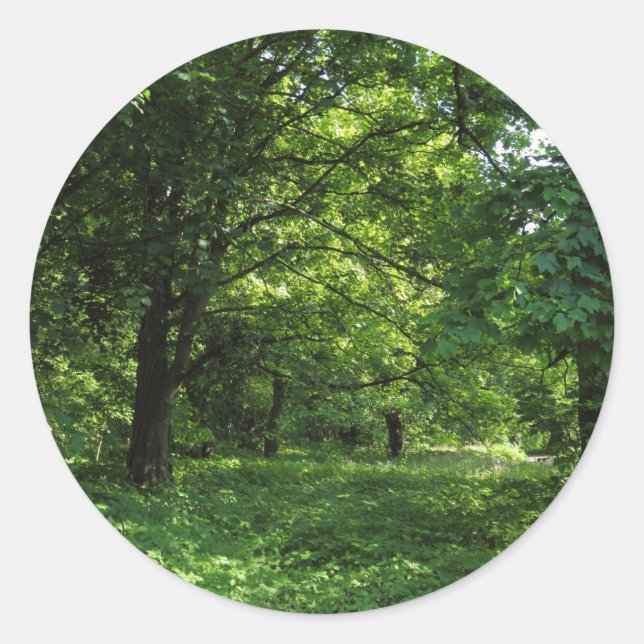 Spring in the Woods 01 Classic Round Sticker (Front)