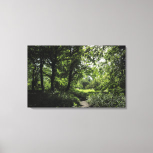 Spring in the Woods 03 Canvas Print