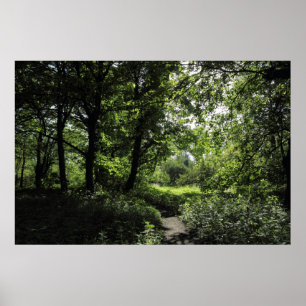 Spring in the Woods 03 Poster