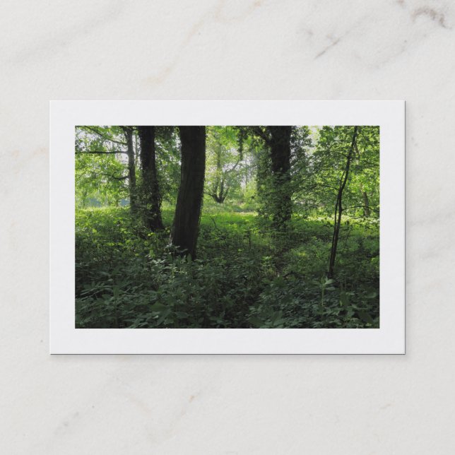 Spring in the Woods 04 (Bordered) Business Card (Front)