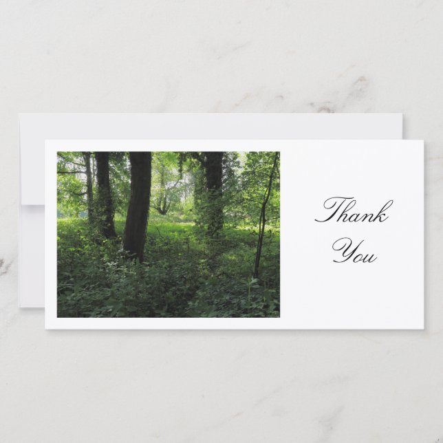 Spring in the Woods 04 - Thank You (Front)