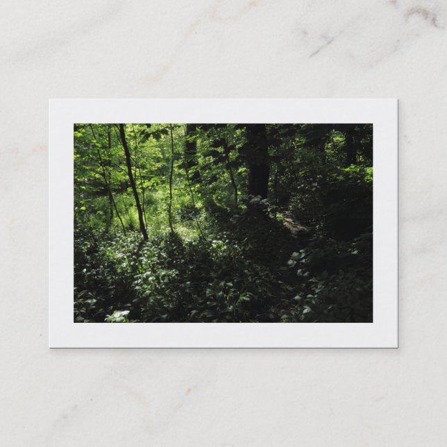 Spring in the Woods 05 (Bordered) Business Card (Front)