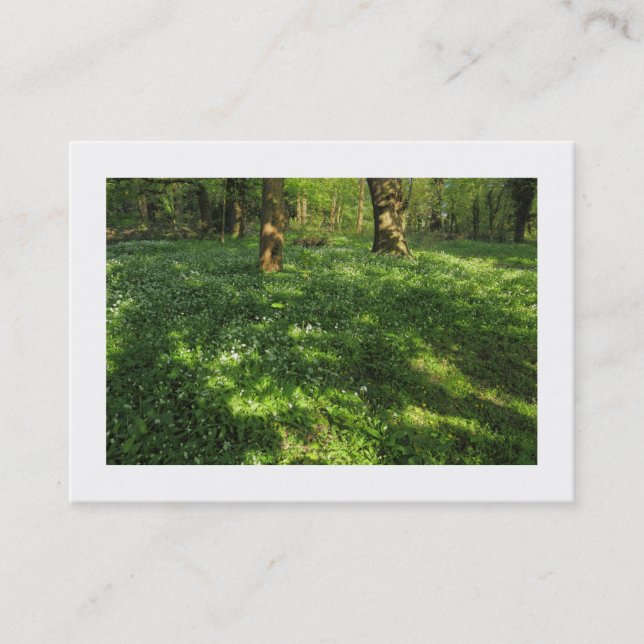 Spring in the Woods (Bordered) Business Card (Front)