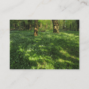 Spring in the Woods Business Card